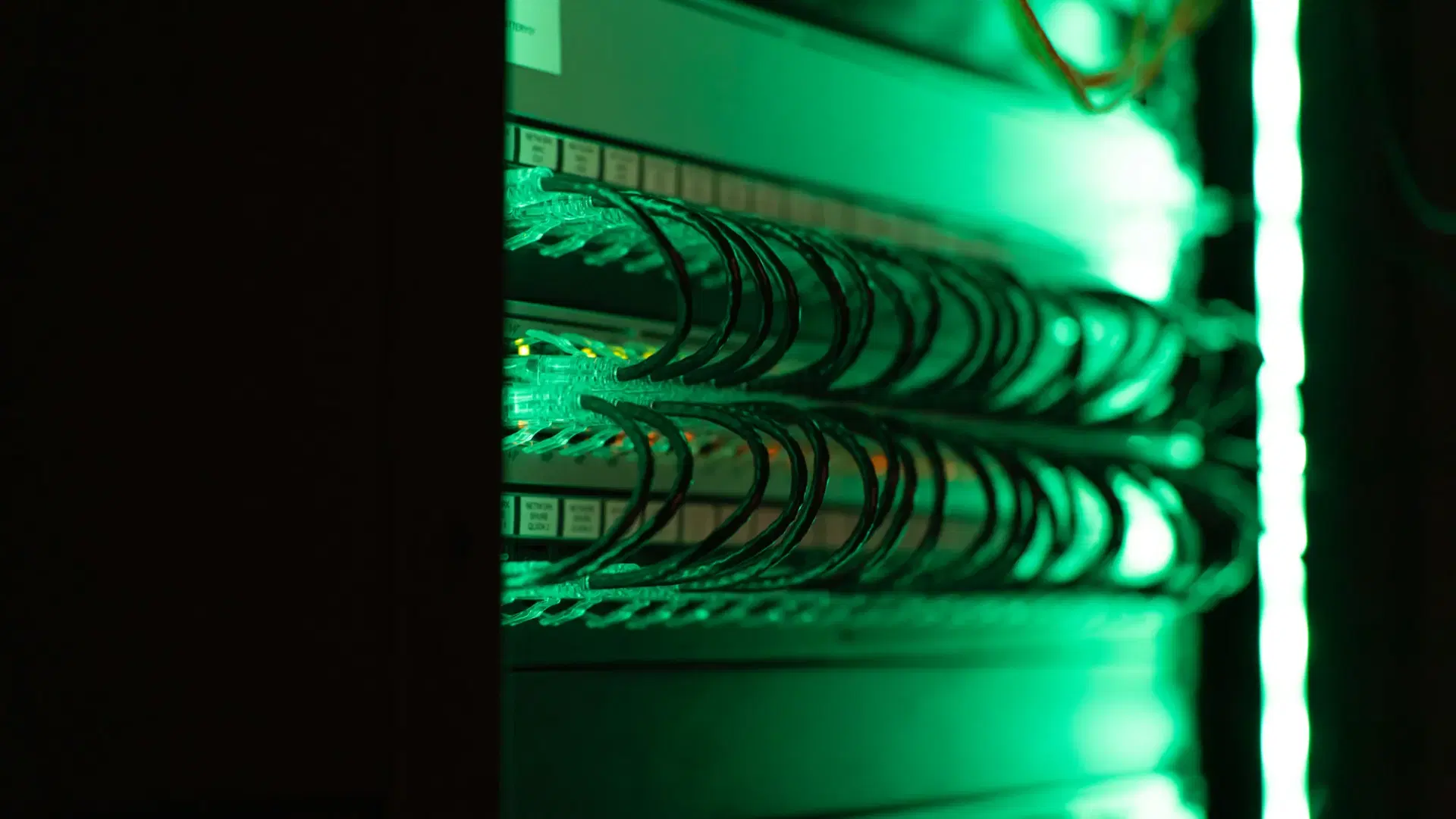 Network cabling in a rack lit green